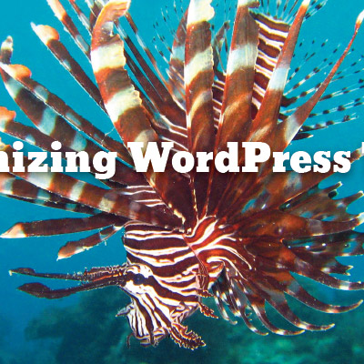 Screenshot: Chapter 5: Customizing WordPress Themes